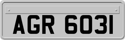 AGR6031