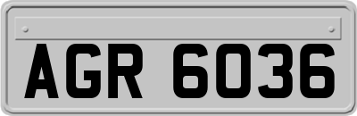 AGR6036