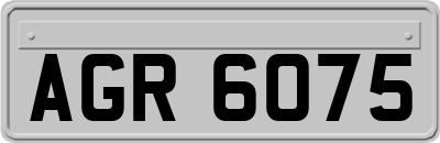 AGR6075