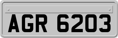 AGR6203