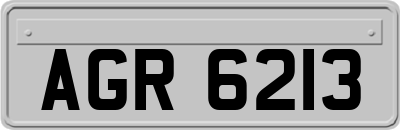 AGR6213