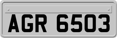 AGR6503