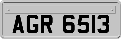 AGR6513