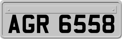AGR6558