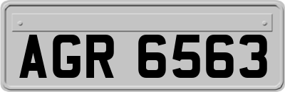 AGR6563