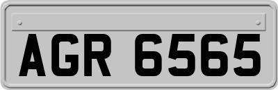 AGR6565