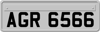 AGR6566