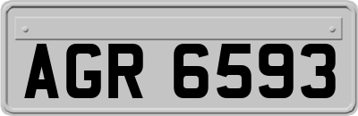 AGR6593