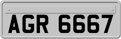AGR6667