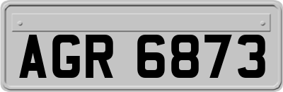 AGR6873