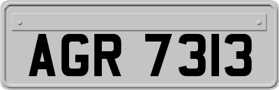 AGR7313