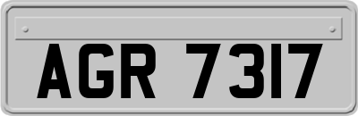 AGR7317