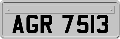 AGR7513