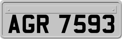 AGR7593