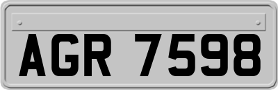 AGR7598