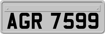 AGR7599