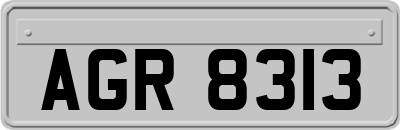AGR8313