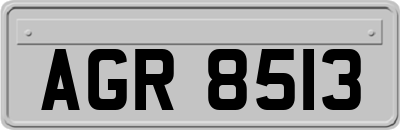 AGR8513