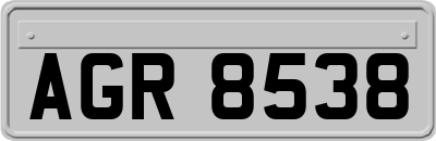 AGR8538