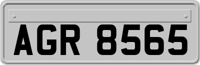 AGR8565