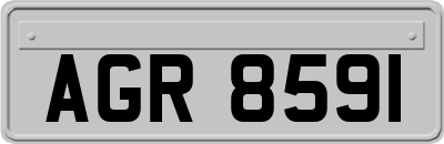 AGR8591