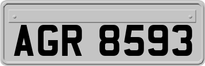 AGR8593