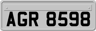 AGR8598