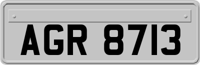AGR8713