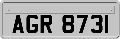 AGR8731