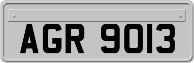 AGR9013
