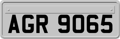 AGR9065