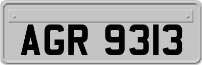 AGR9313