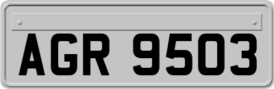 AGR9503