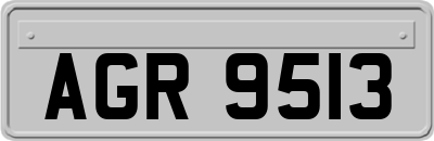 AGR9513