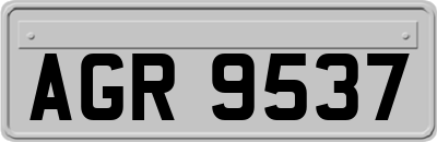 AGR9537