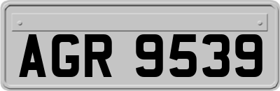 AGR9539