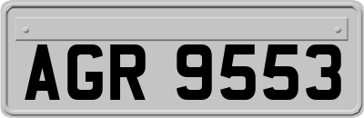 AGR9553