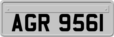 AGR9561