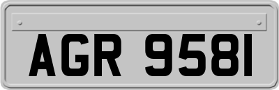 AGR9581