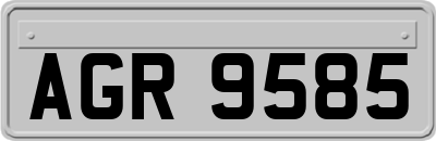 AGR9585