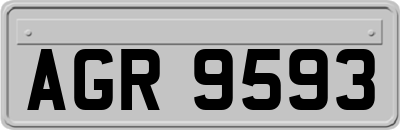 AGR9593
