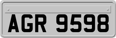 AGR9598