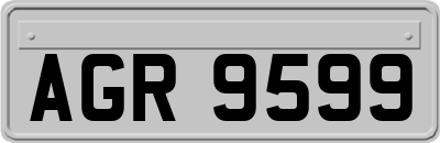 AGR9599