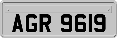 AGR9619