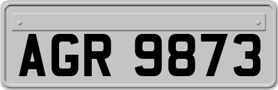 AGR9873
