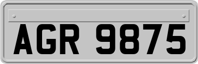 AGR9875