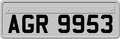 AGR9953