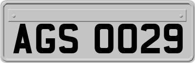 AGS0029
