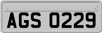 AGS0229