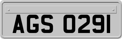AGS0291